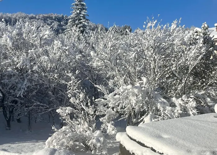 Appartamento Ca D Rita *